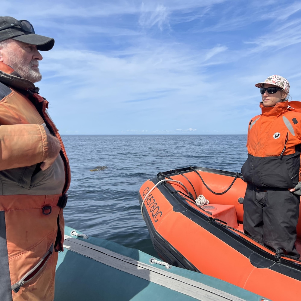 René Roy croise une équipe de recherche de l'Institut Maurice-Lamontagne en mer