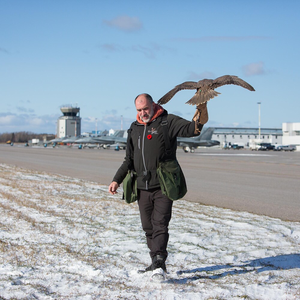 Paul Jean porte le faucon devant les avions de chasse de la base de Bagotville.