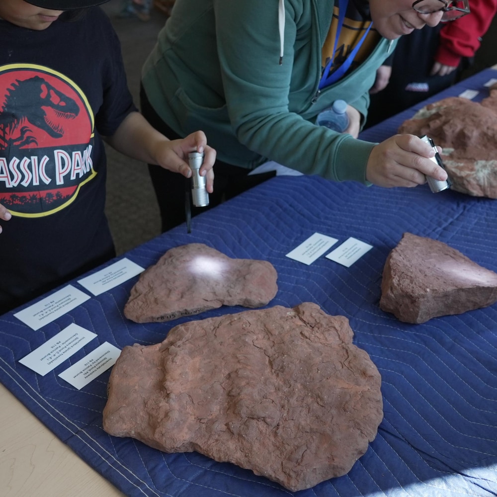 Deux personnes, dont un enfant portant un t-shirt noir avec le logo rouge et jaune de "Jurassic Park", utilisent de petites lampes de poche pour éclairer et examiner plusieurs gros morceaux de roche rouge disposés sur une table recouverte d'une nappe bleue.