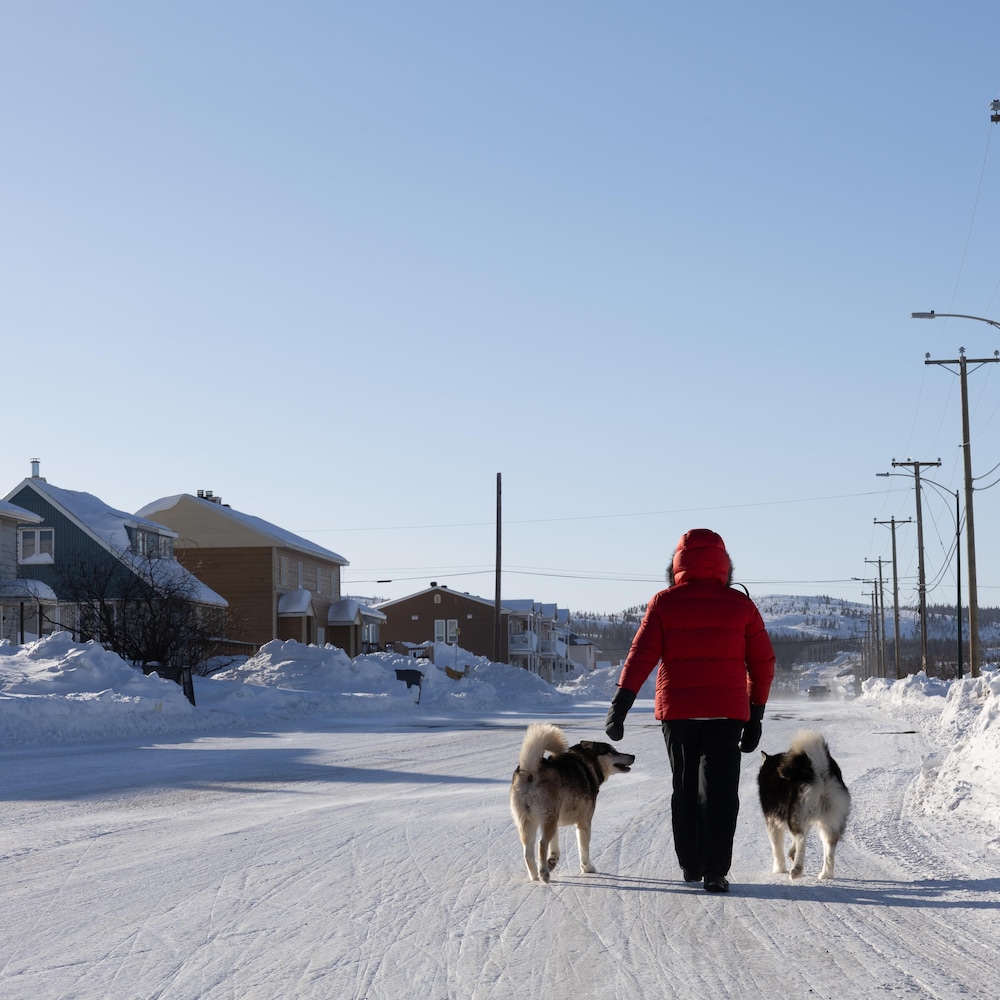 Une femme en compagnie de deux chiens husky marche dans une rue enneigée. 