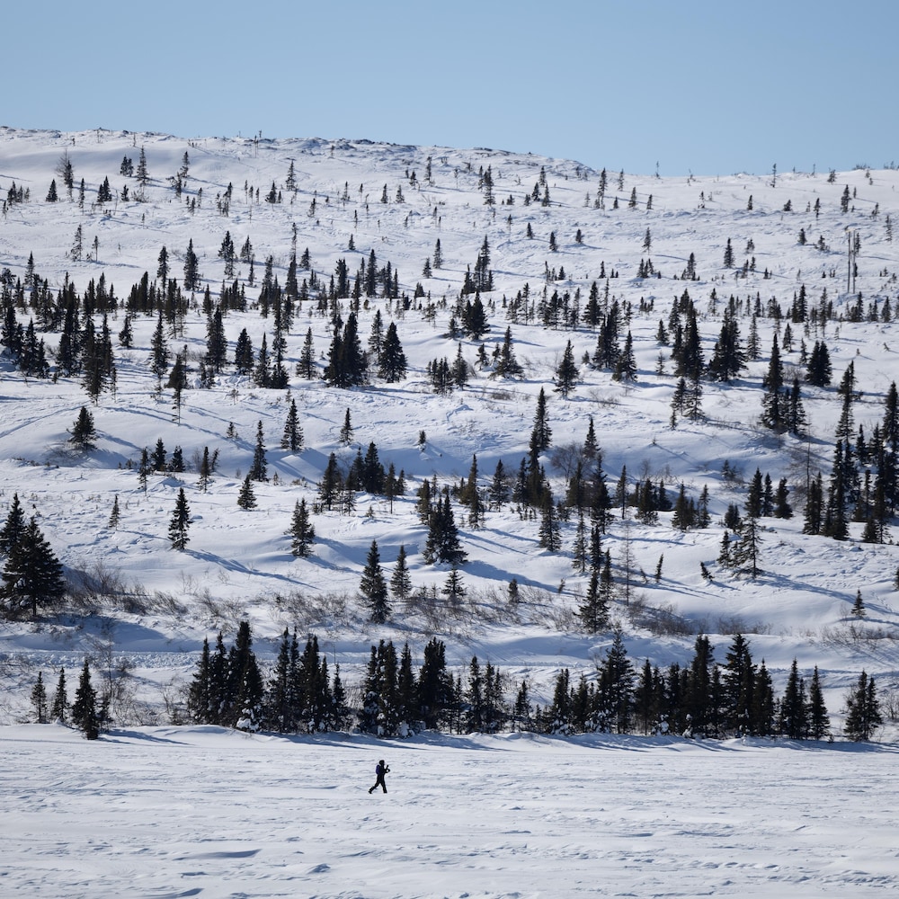 Un skieur glisse sur la neige en ski de fond dans une forêt de la Côte Nord.