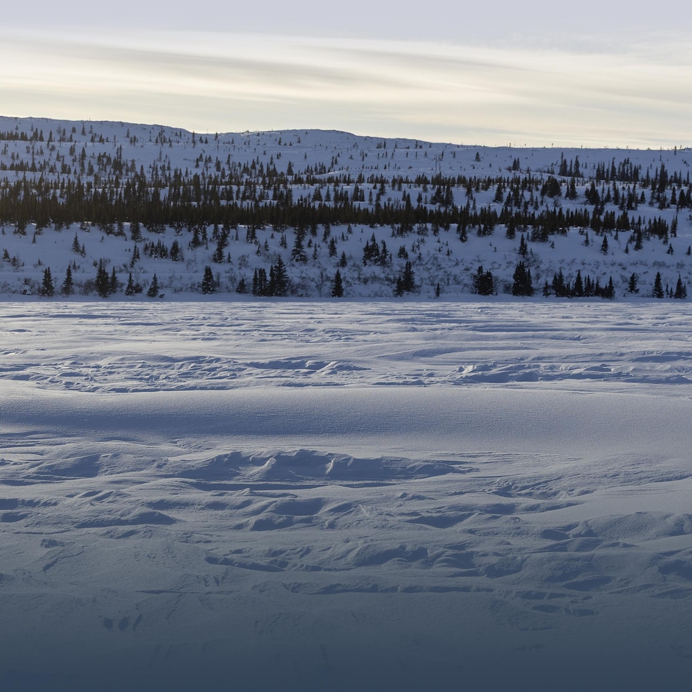 Un vaste paysage enneigé et nordique.