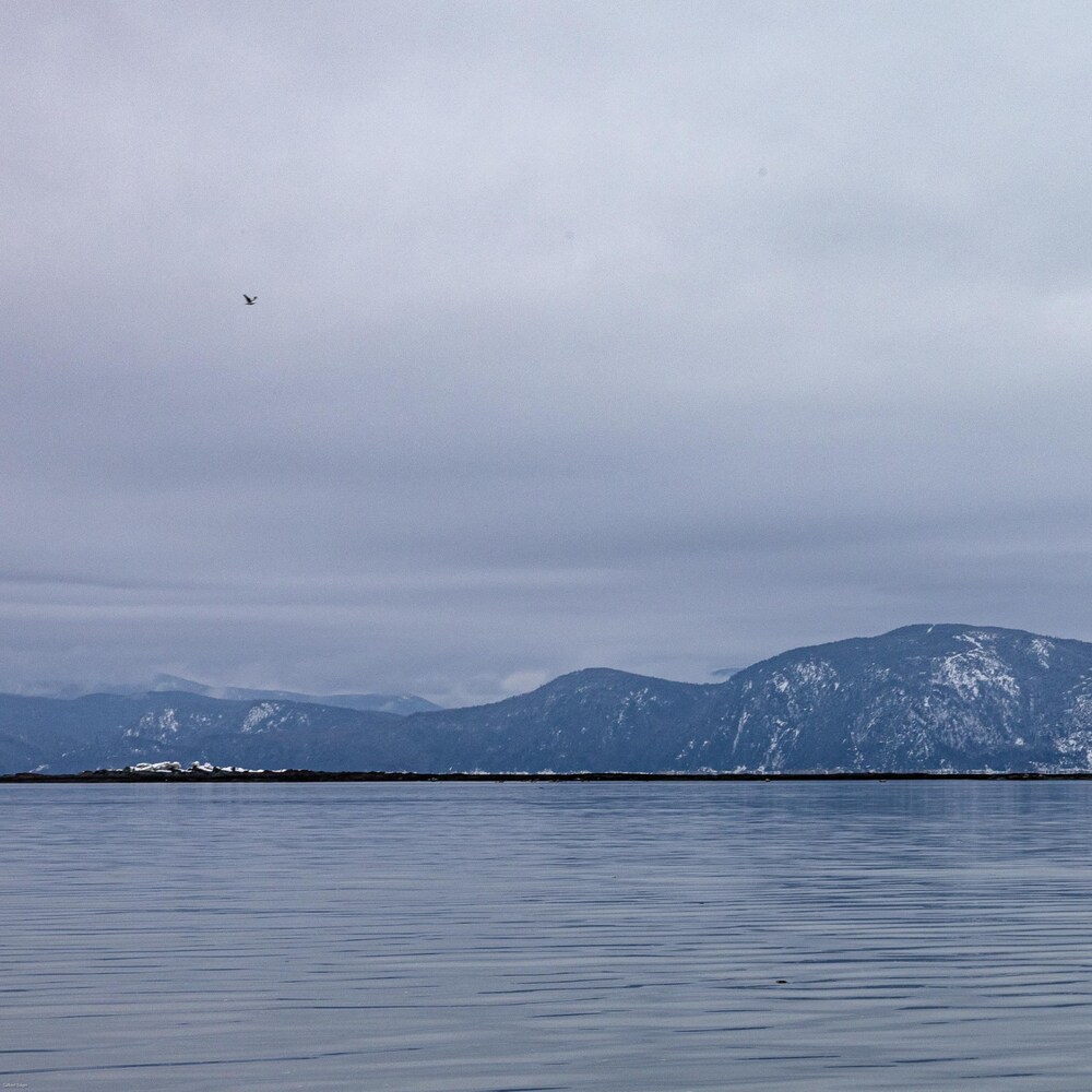 L'estuaire du Saint-Laurent.