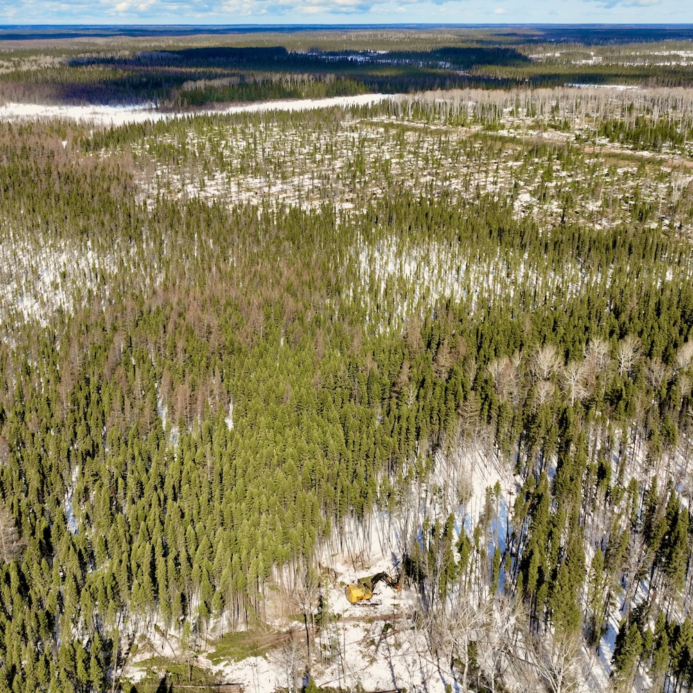 Vue aérienne de la forêt boréale.