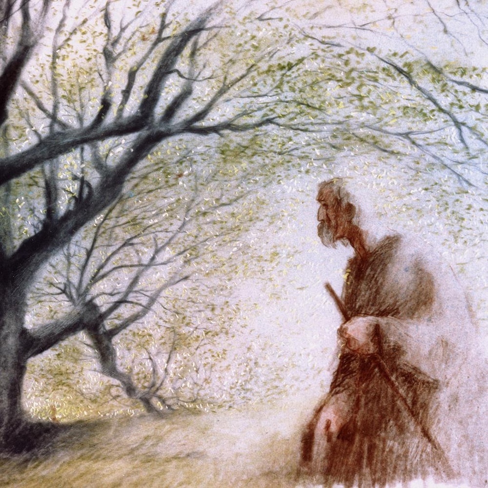 Illustration d'un vieillard qui contemple un arbre mature.