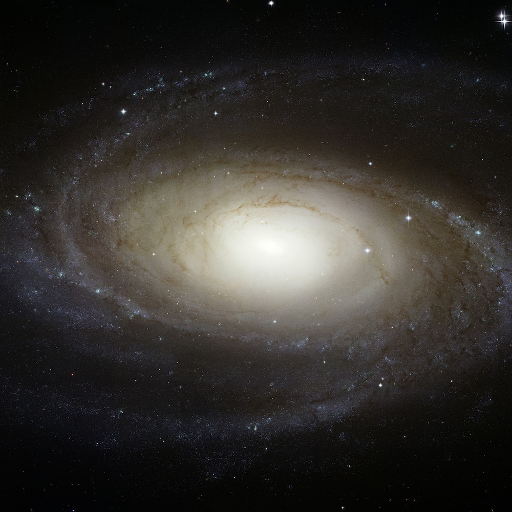 La galaxie spirale M81.