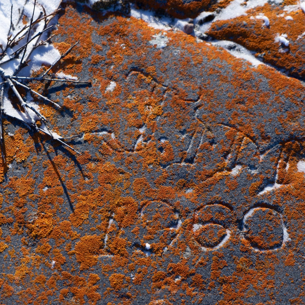 Un graffiti datant de 1960 sur une roche 
