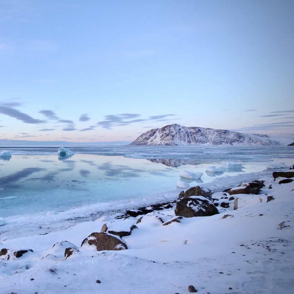 Paysage de mer, de neige et de glaciers.