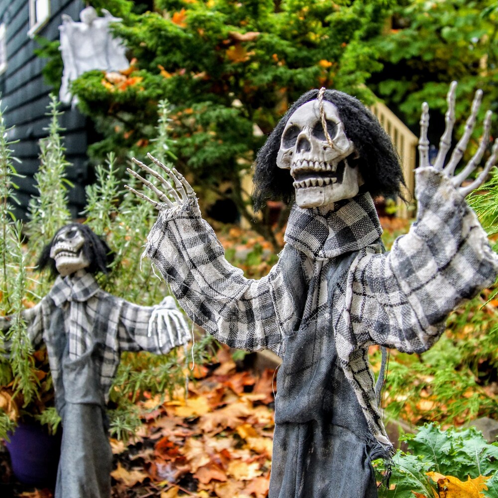 Deux squelettes sont disposés dans le jardin d'une maison pour halloween.