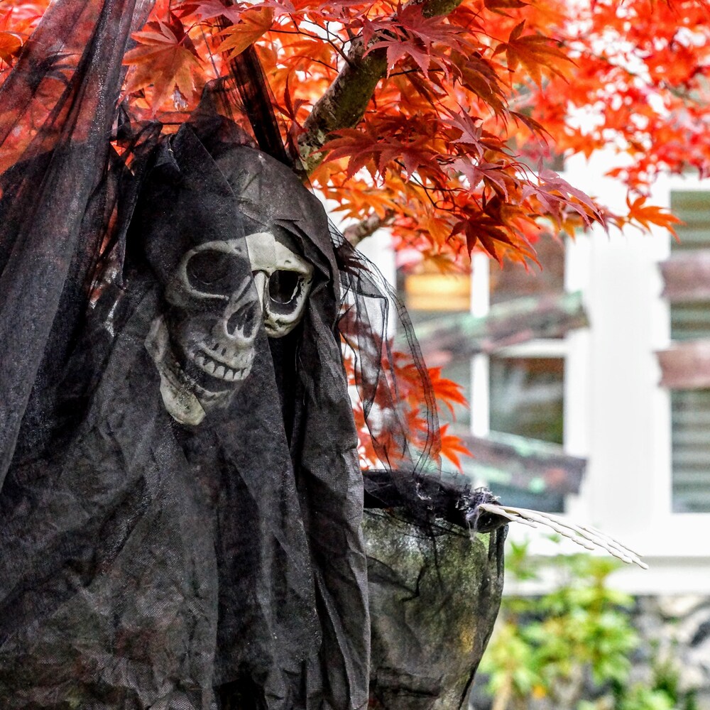 Un squelette est accroché dans un arbre à l'occasion de halloween.