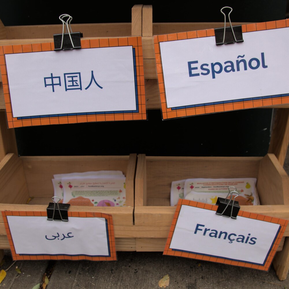 Des feuillets explicatifs sont offerts dans quatre compartiments d'un meuble en bois, avec des affiches en différentes langues, dont le français.