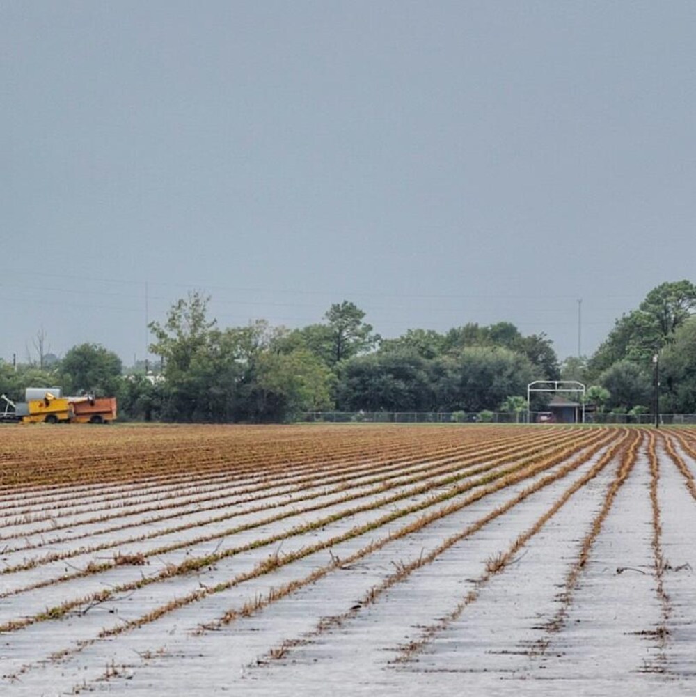 La petite communauté d'El Campo, entre San Antonio et Houston, a reçu d'importantes précipitations.