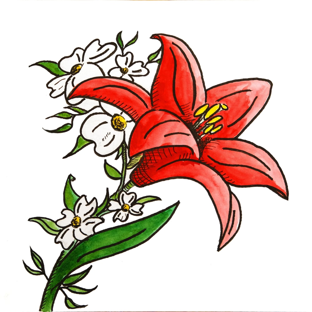 Illustration d'un lys entouré d'autres petites fleurs.