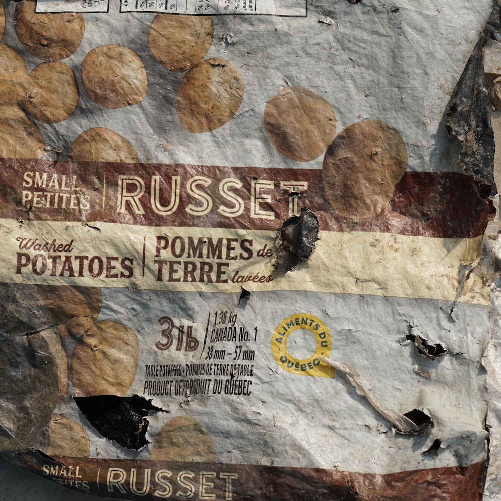 Un sac de pommes de terre Russet.