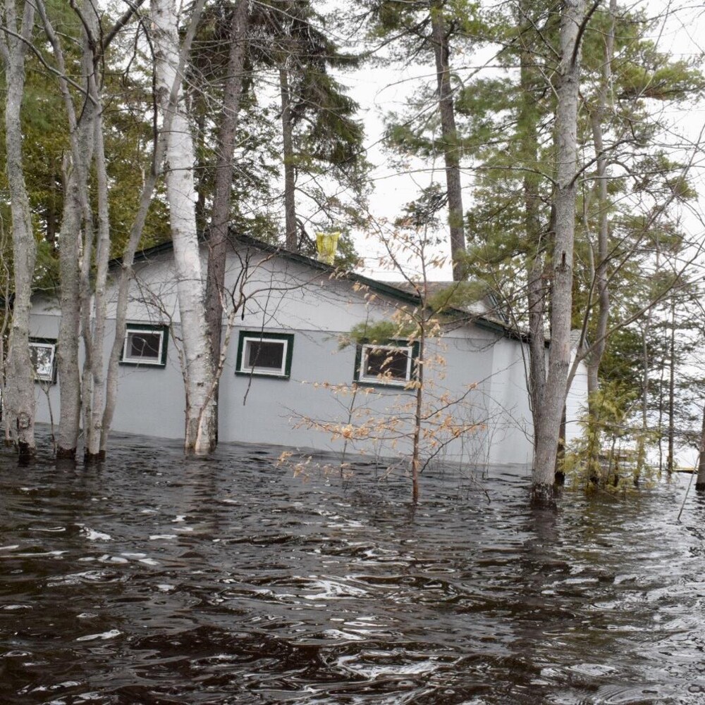 Chalet inondé retenu par les arbres à Princess Park, dans la région de Grand Lake au Nouveau-Brunswick, le 28 avril 2019.