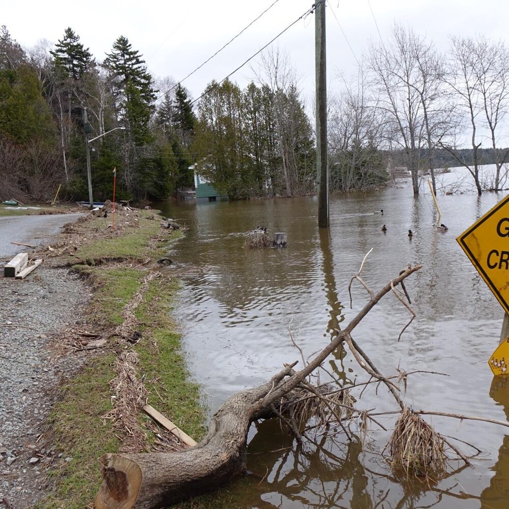 Une pancarte annonçant une traverse de bernaches et de canards est en partie enfoncée dans des eaux d'inondation.