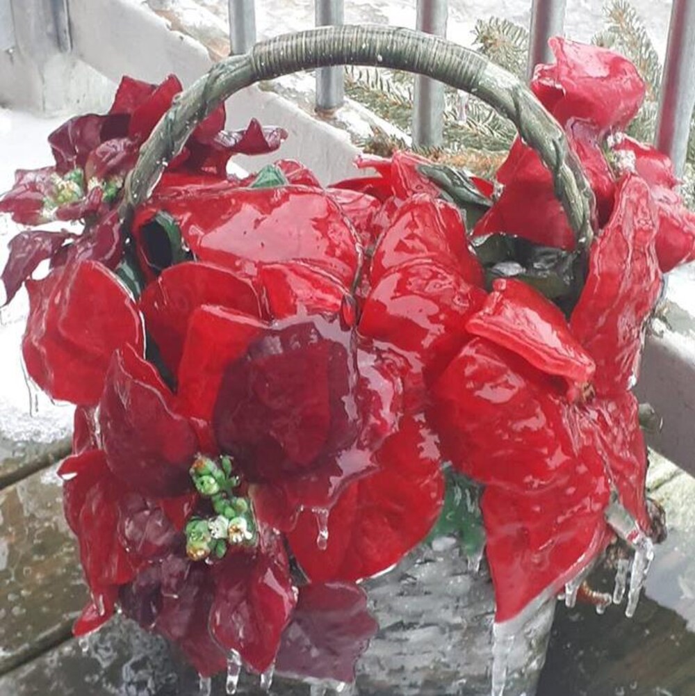 La glace recouvre une sculpture en forme de poinsettia.