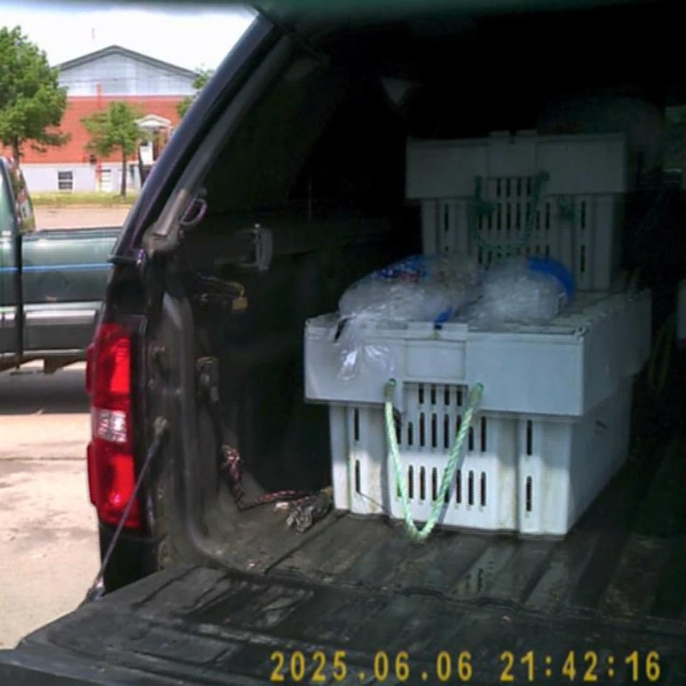 Deux hommes près d’une camionnette.