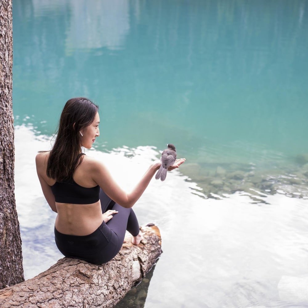 Une femme tient un geais gris dans sa main aux abords d'un lac du parc britanno-colombien Joffre Lakes.