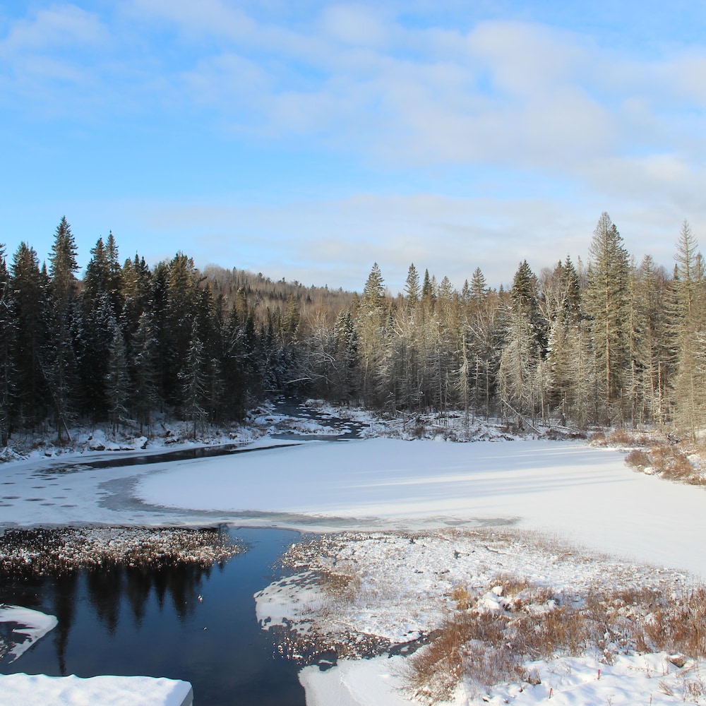 Un lac partiellement glacé et enneigé entouré de sapins.