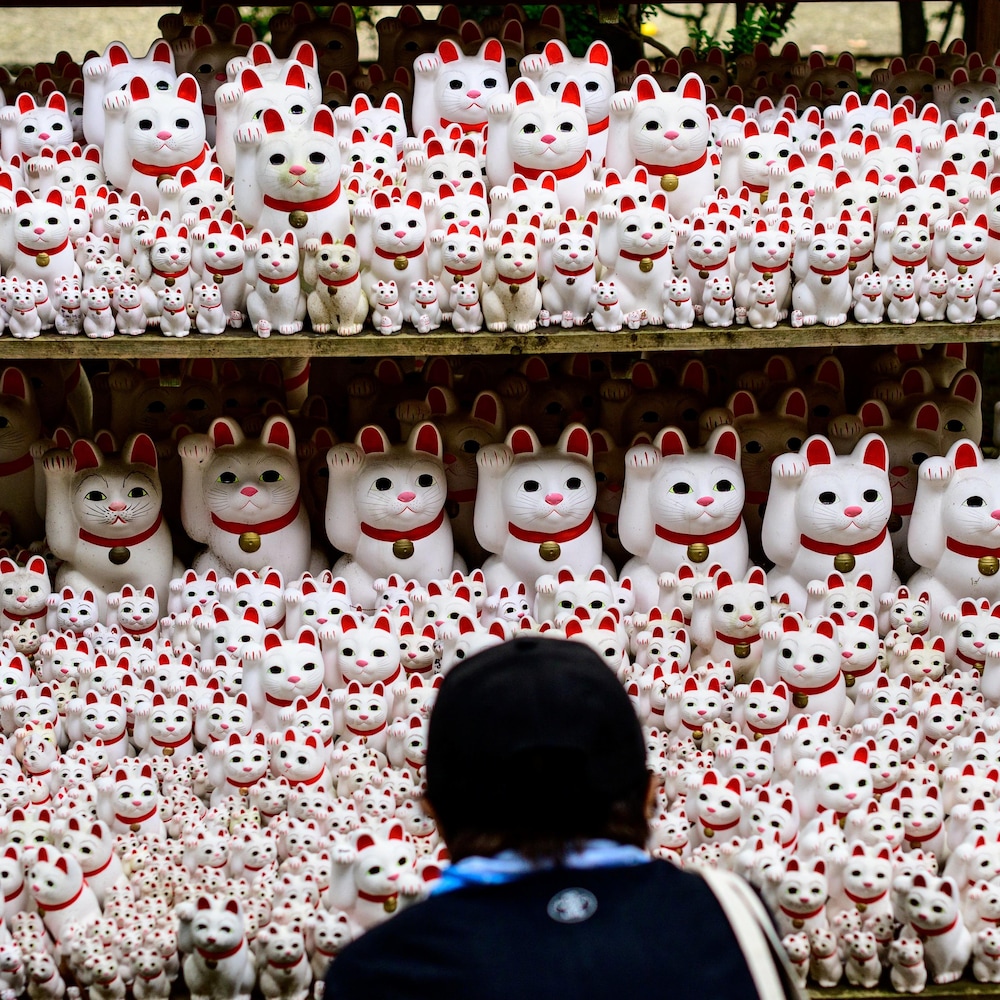 De multiples sculptures de chats dans un temple au Japon.