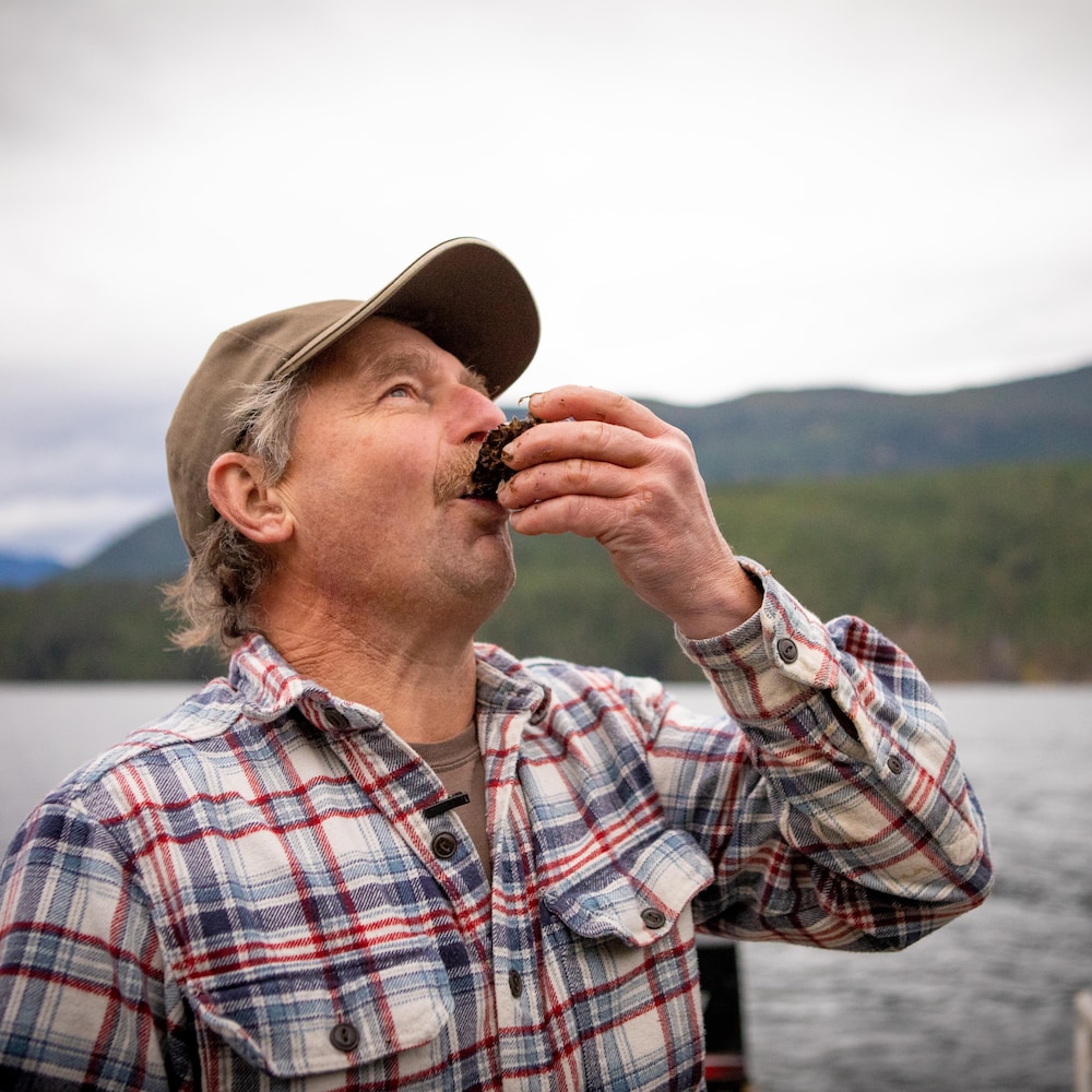 Yves Perreault est en train de manger une huître, le coquillage à la bouche, dans la baie de Okeover, en Colombie-Britannique, en novembre 2022. 