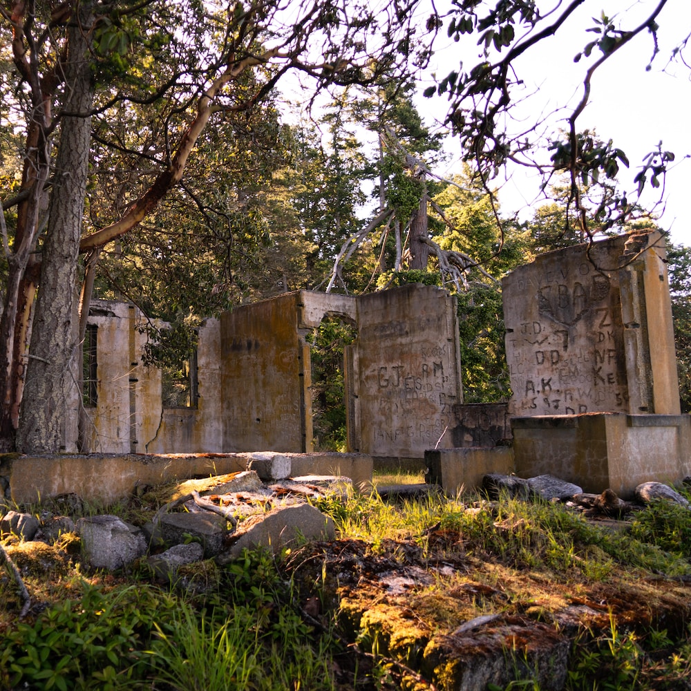 Murs en ruine entourés de végétation sur l'île d'Arcy en mai 2022, en Colombie-Britannique.