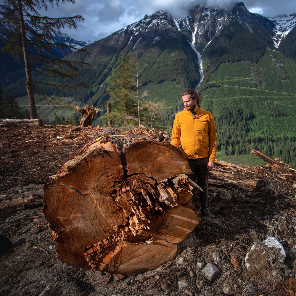 Eddie Petryshen est à côté d'un imposant tronc coupé, dans le fond les montagnes, au nord de Revelstoke en Colombie-Britannique, en juin 2022.
