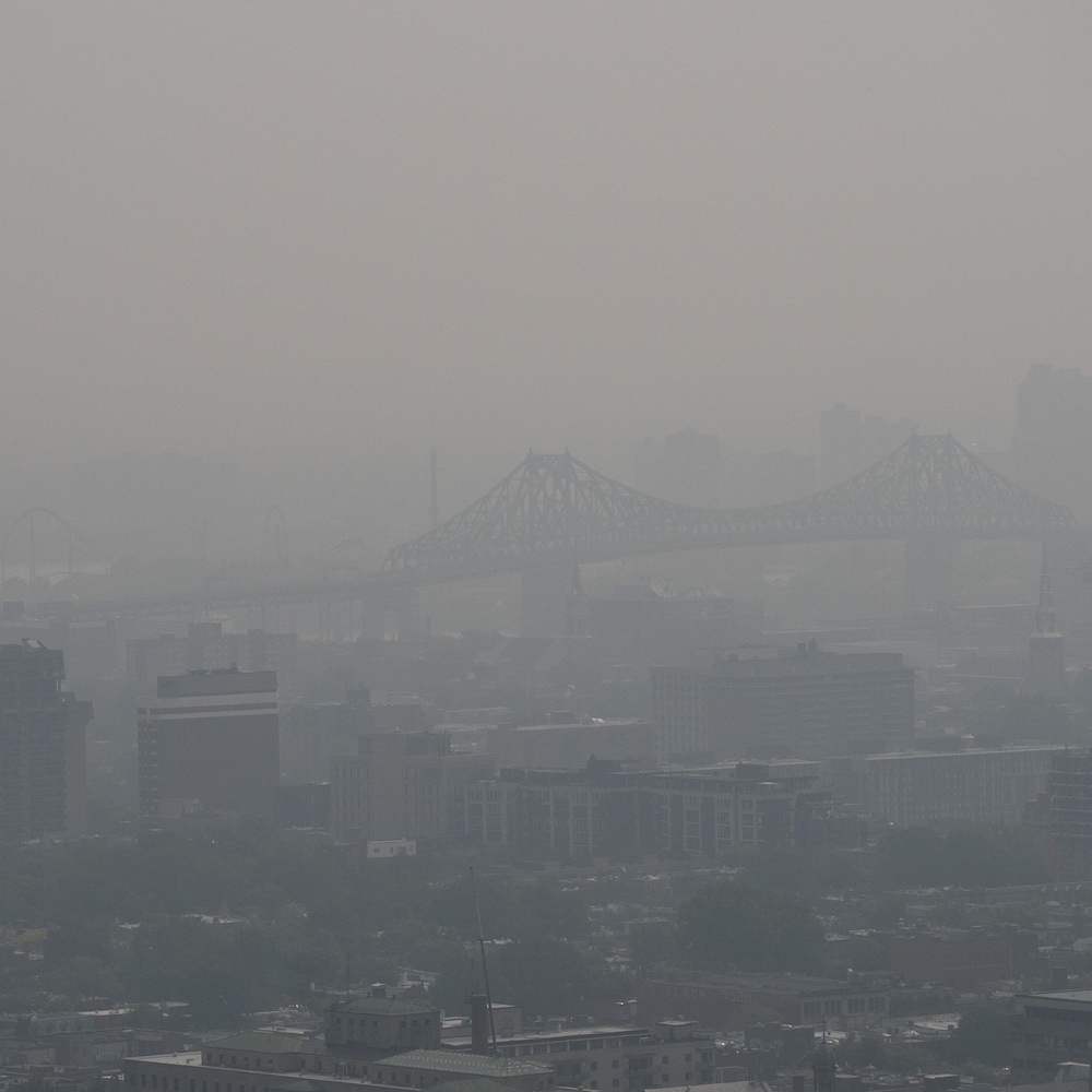 Vue depuis le belvédère du mont Royal, à Montréal le 6 juin 2025.