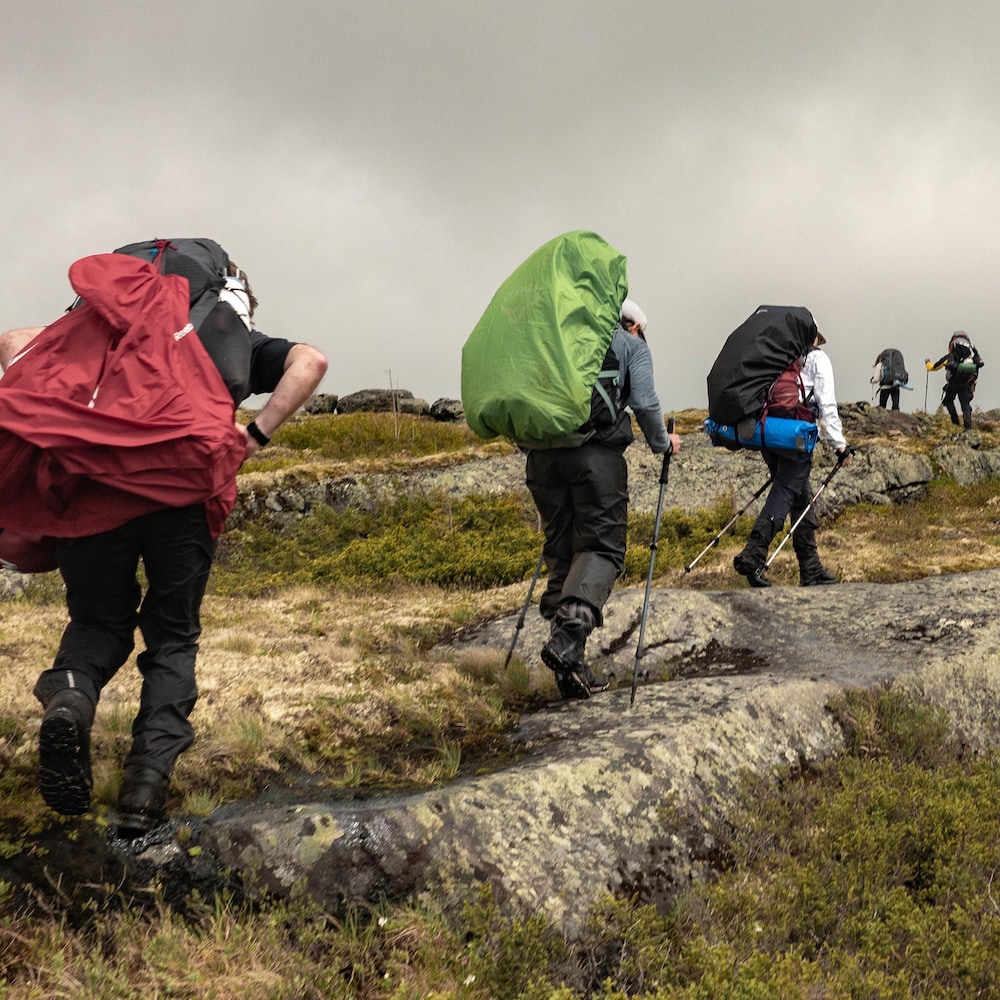 Un groupe de six personnes marchent dans la toundra, avec leur sac à dos d'expédition sur le dos.