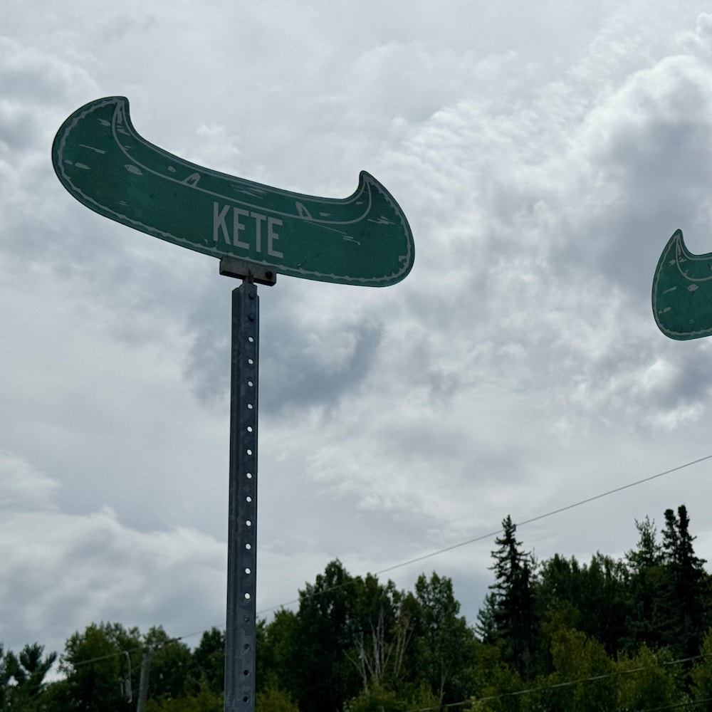 Deux panneaux de rue verts en forme de canot se détachent devant un ciel nuageux et la cime des arbres.