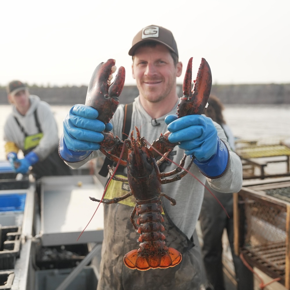 Le capitaine du Byron’s Bay, Marc Thériault, tient un homard dans ses mains.
