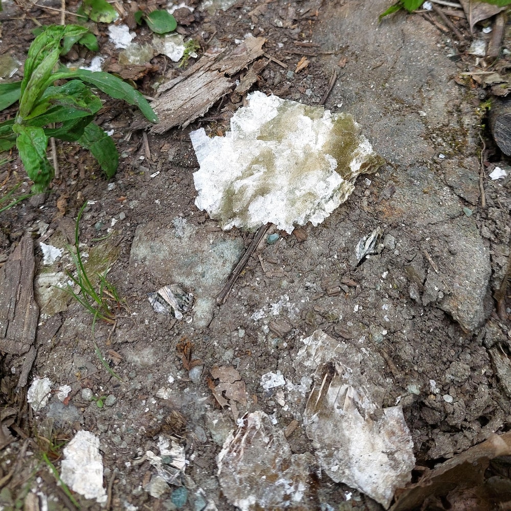 Coated crystals, similar to snow.