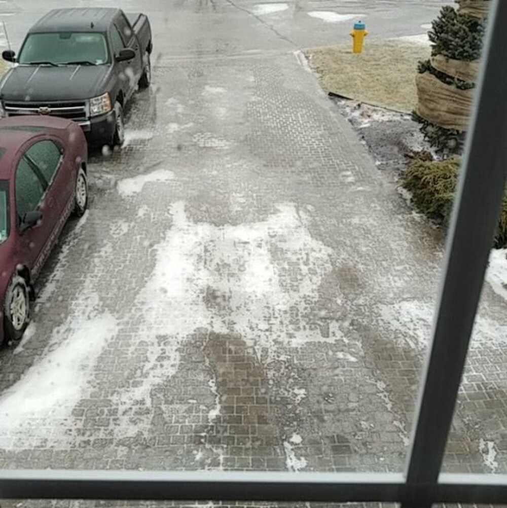 Une entrée de maison et les véhicules qui y sont garés sont recouverts de glace.