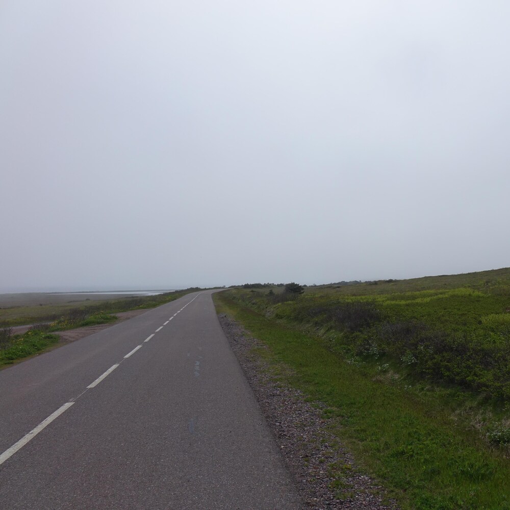 Une route dans un paysage de champs d'herbes vertes avec un ciel grisonnant. 