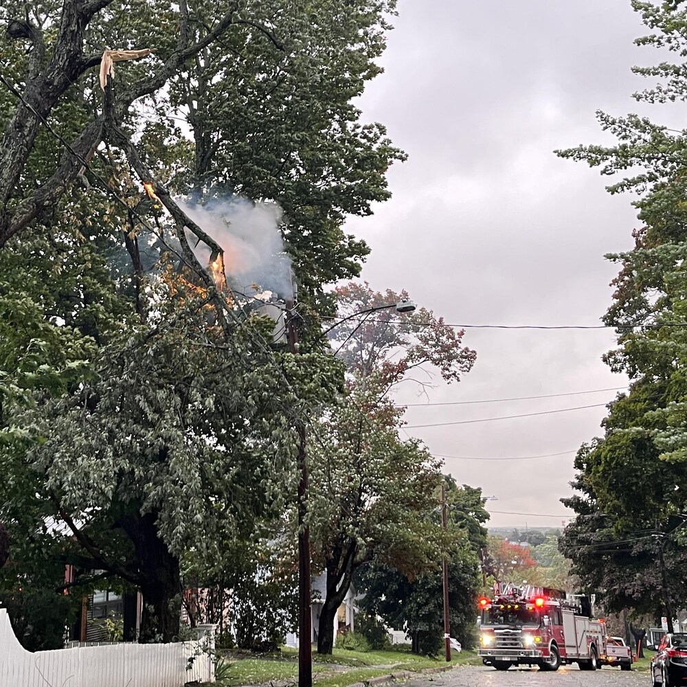 Un camion de pompier se rapproche d’un arbre de quartier où un feu a pris feu par le biais d’un fil électrique.