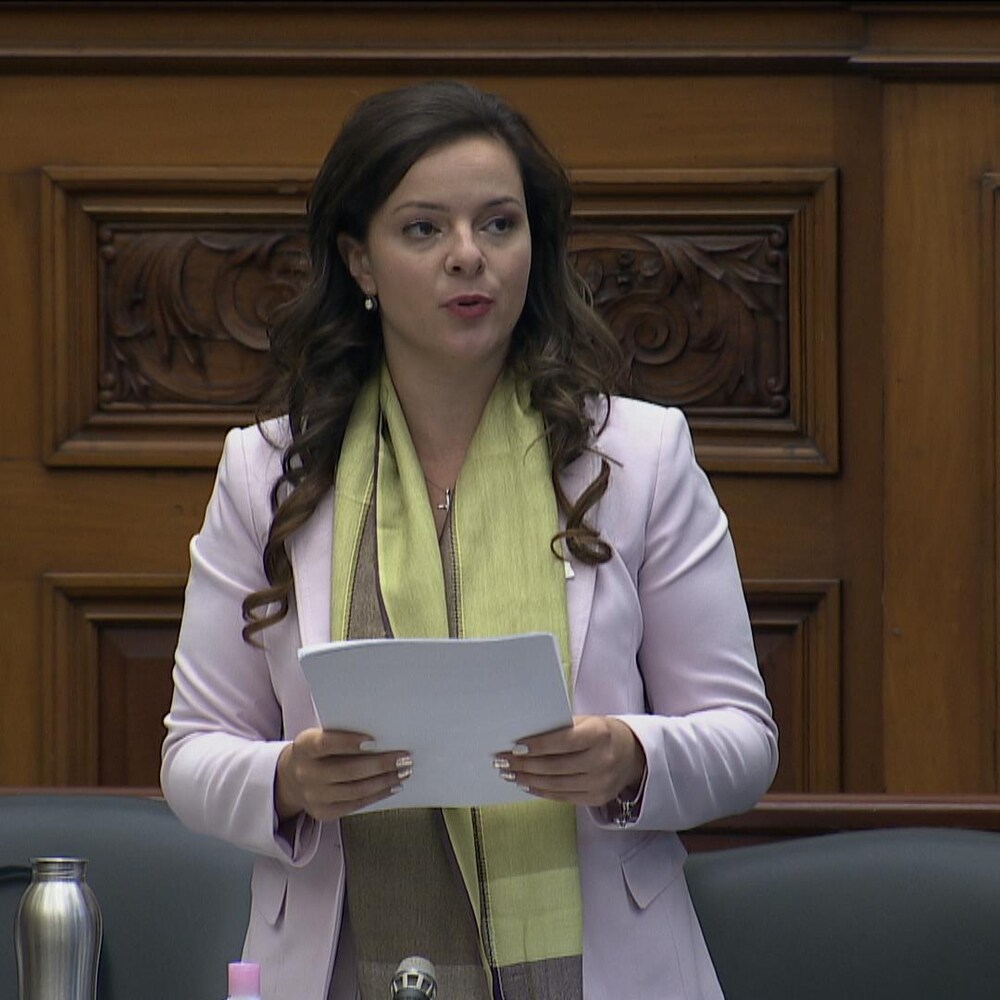 La députée Natalia Kusendova parle de son projet de loi à Queen's Park. 