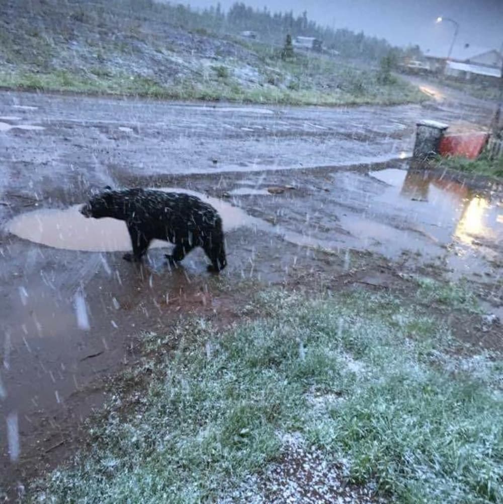 Schefferville, le 12 juillet 2017
