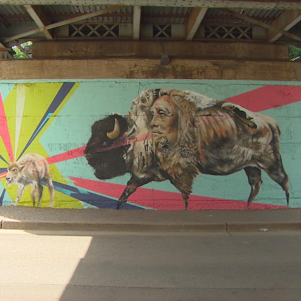 Murale avec couleurs et bisons
