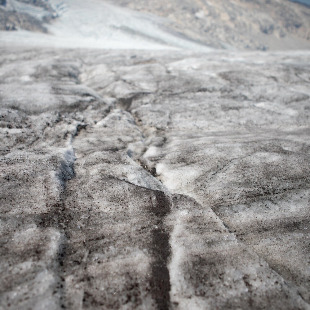 Vue rapprochée d'un glacier, avec des particules sombres à la surface.