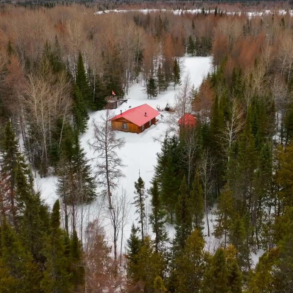 Un chalet de bois au toit rouge situé au coeur d'une forêt. 