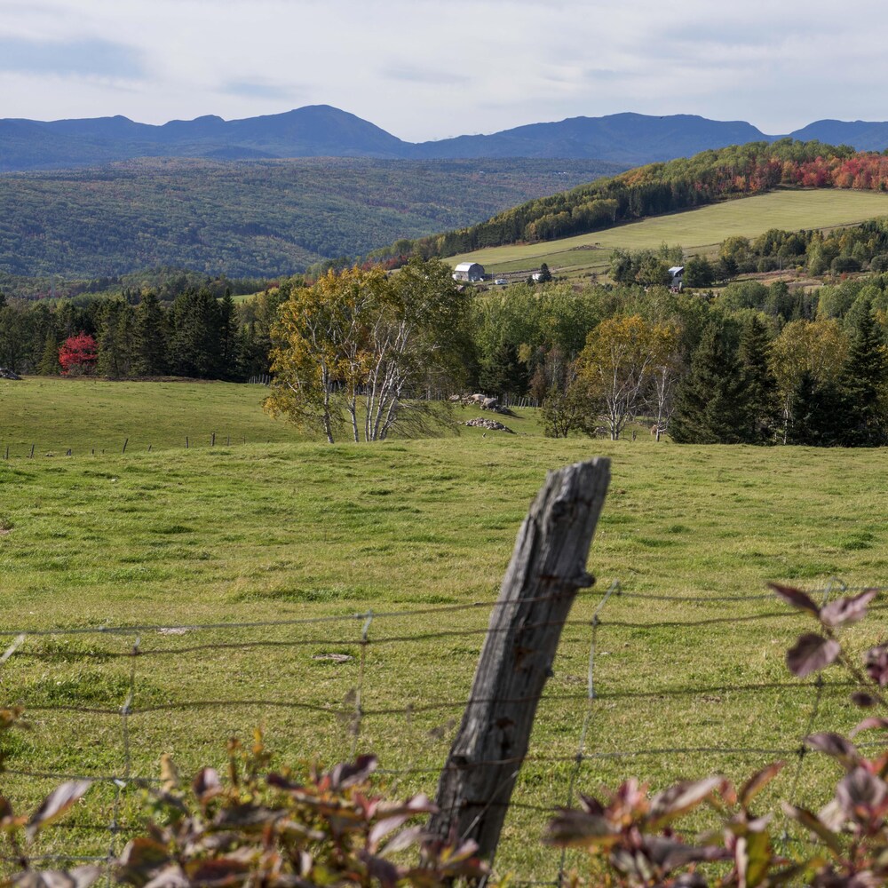 Des champs en montagnes.