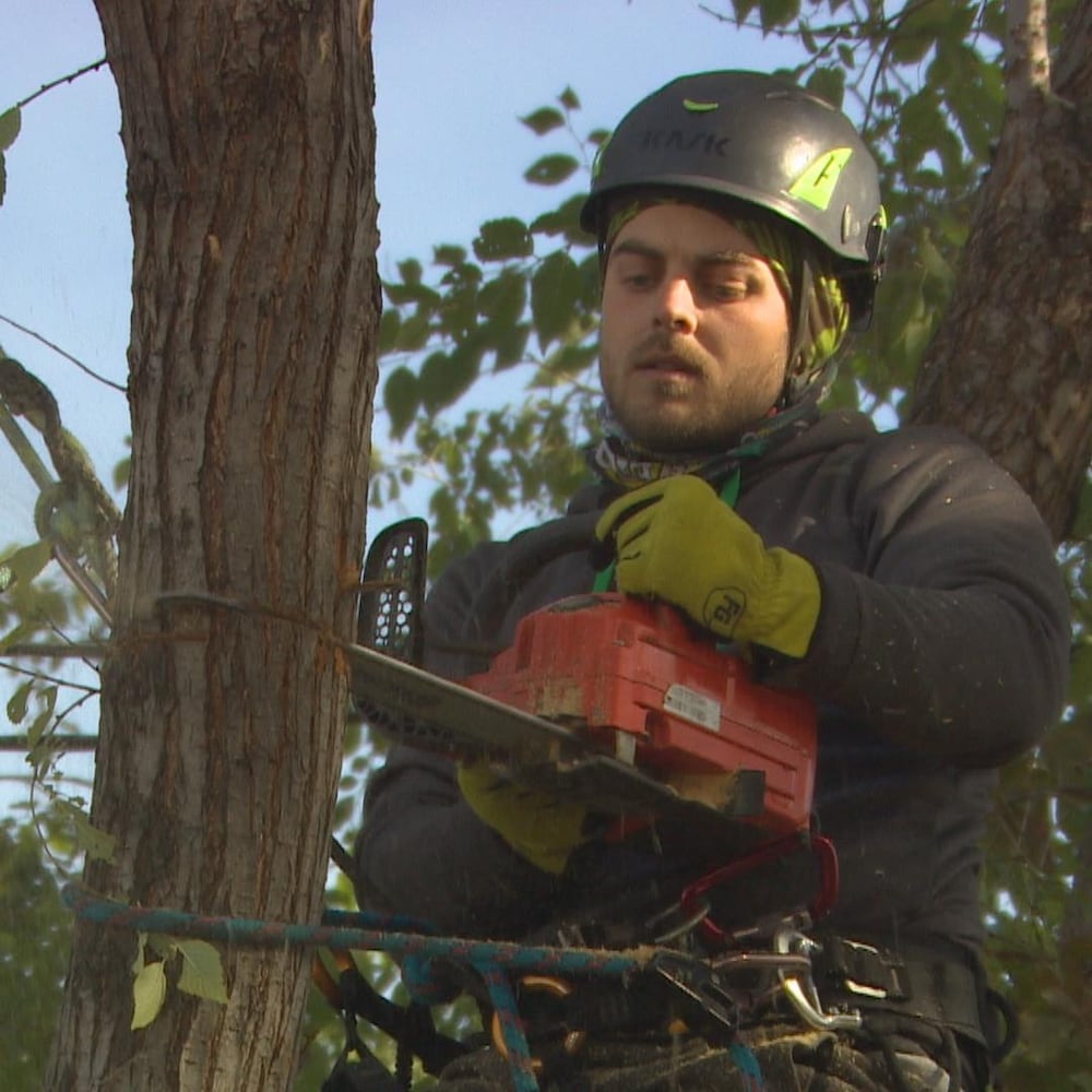 Un homme portant un casque et des gants de sécurité utilise une scie à chaîne pour couper le tronc d'un arbre.