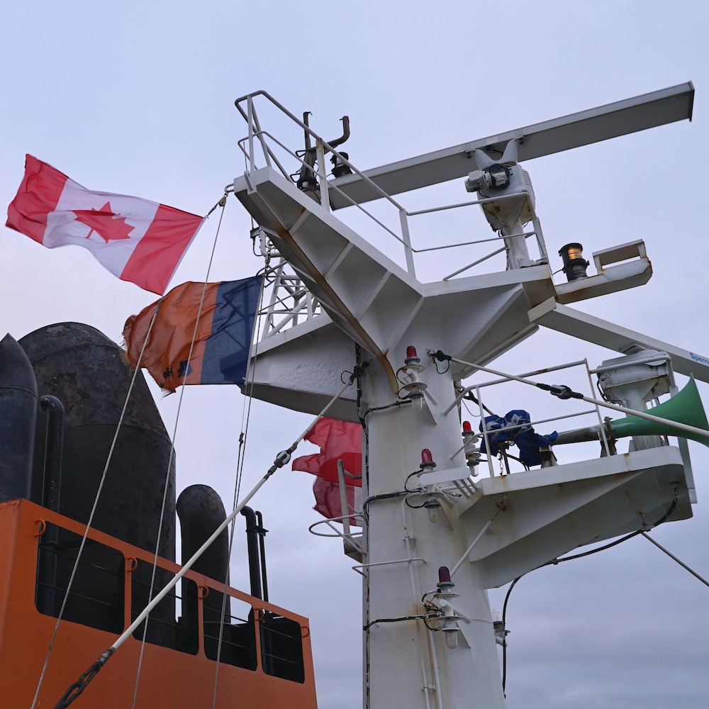 Un mât avec un drapeau canadien.