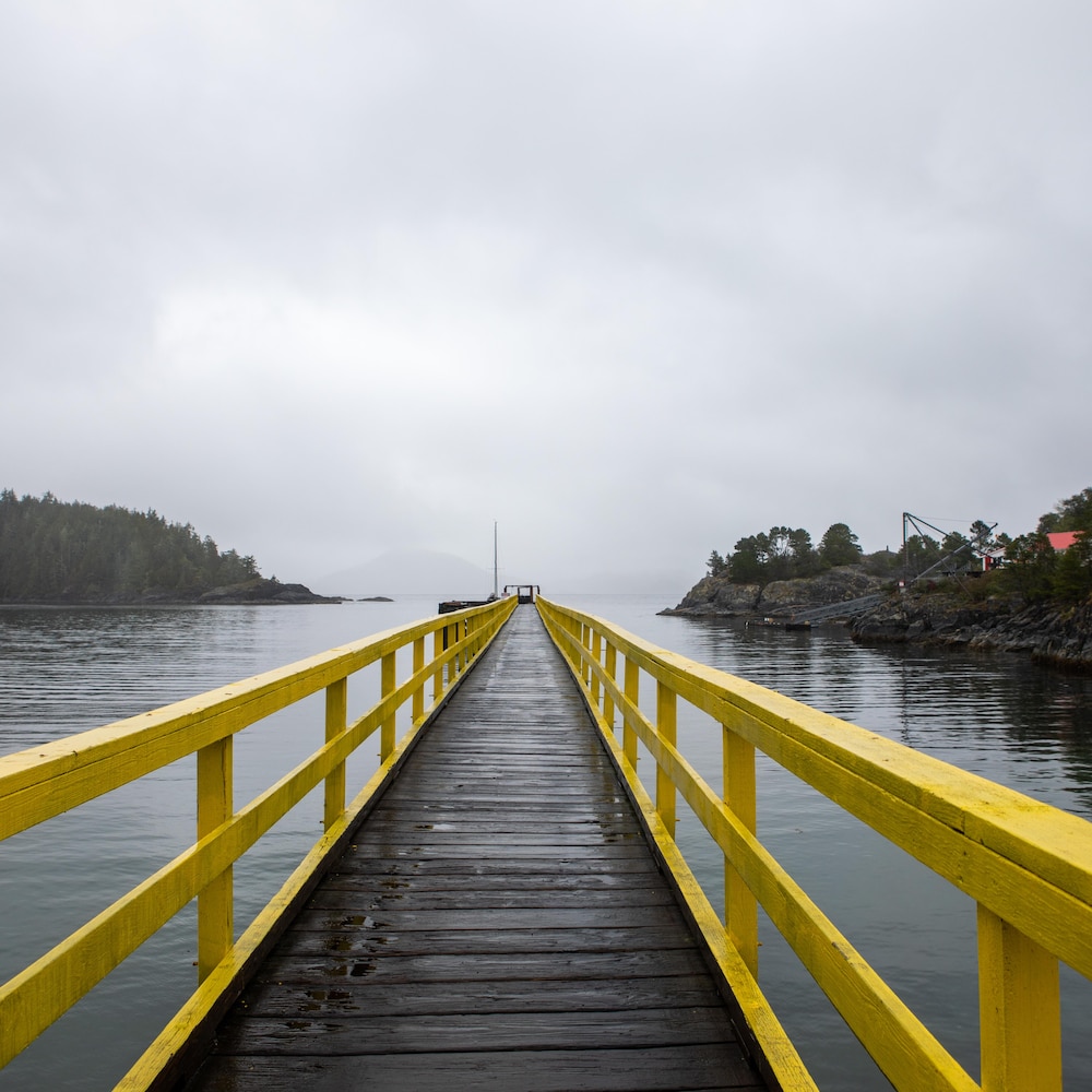 Un ponton sur l'eau, dans une baie de l'île Nootka, en Colombie-Britannique, fin octobre 2023.

