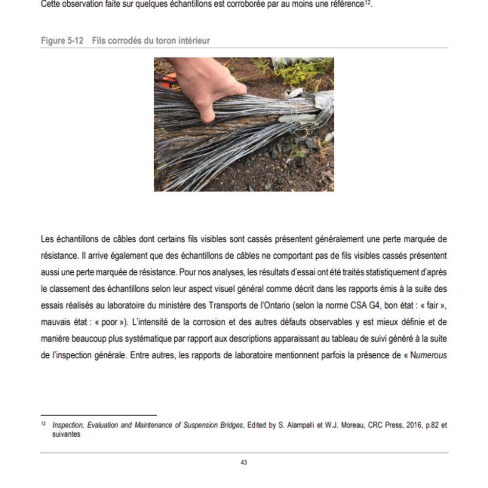 Une page tirée d'un rapport.