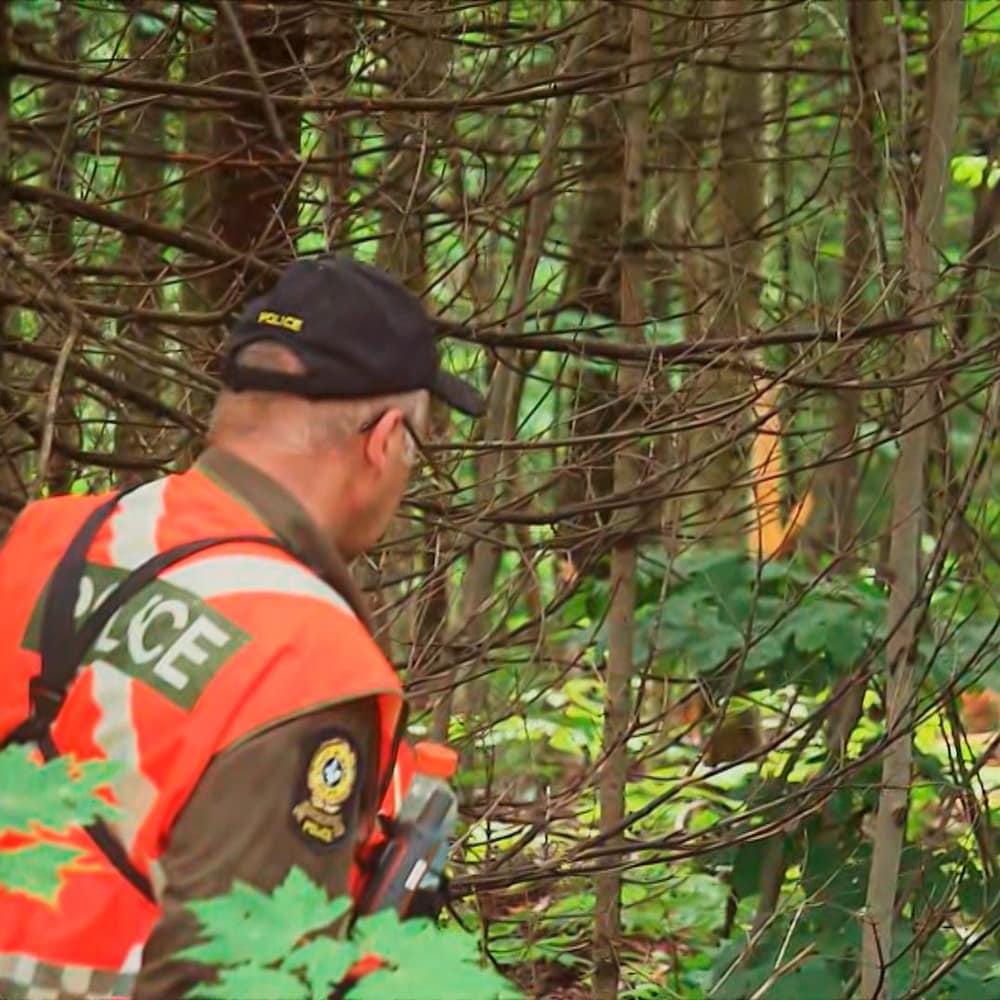 Des policiers mènent des recherches en forêt.