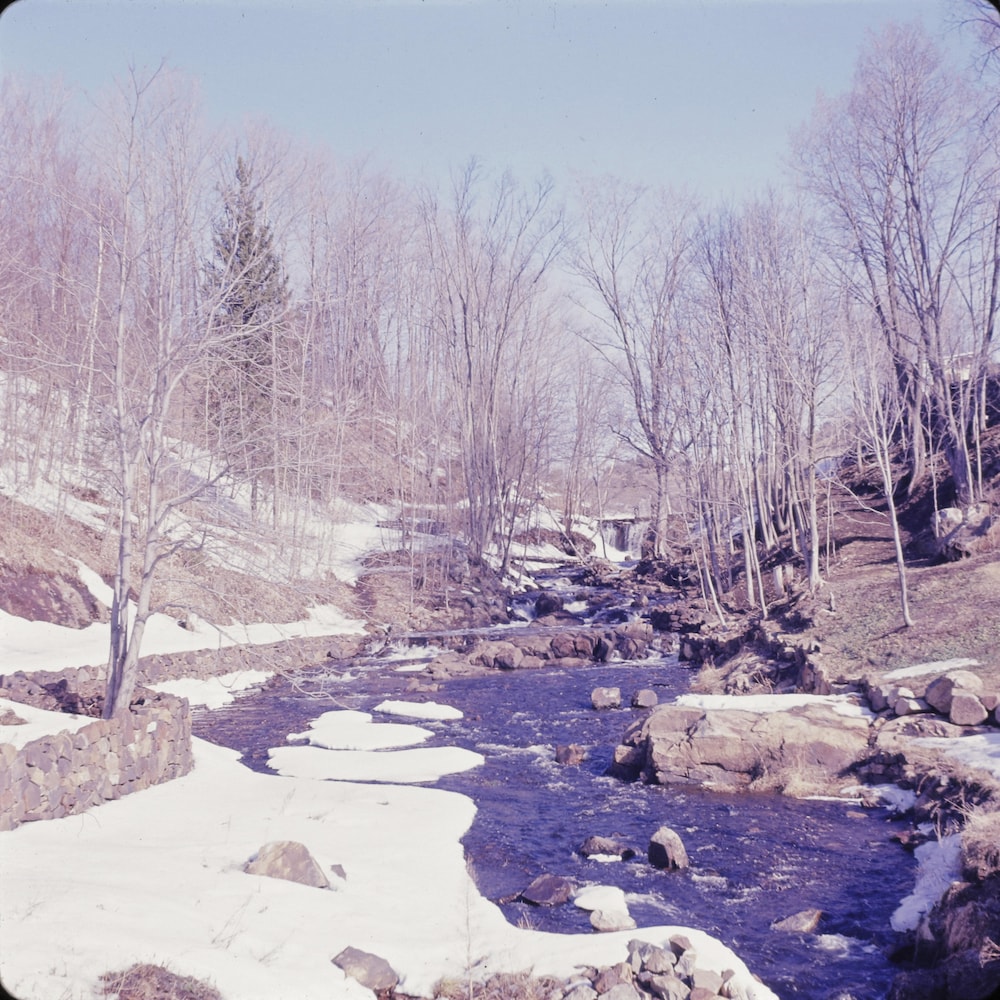 Rivière l'Assomption en hiver.