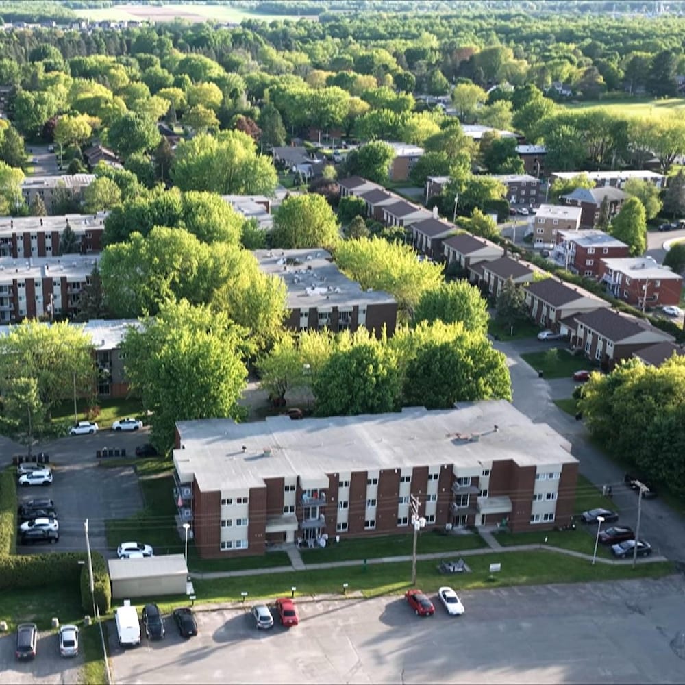 Immeubles sur la rue Michel, à Victoriaville, appartenant  à Pella Immobilier, dont le patron est Pierrick Lapointe.
