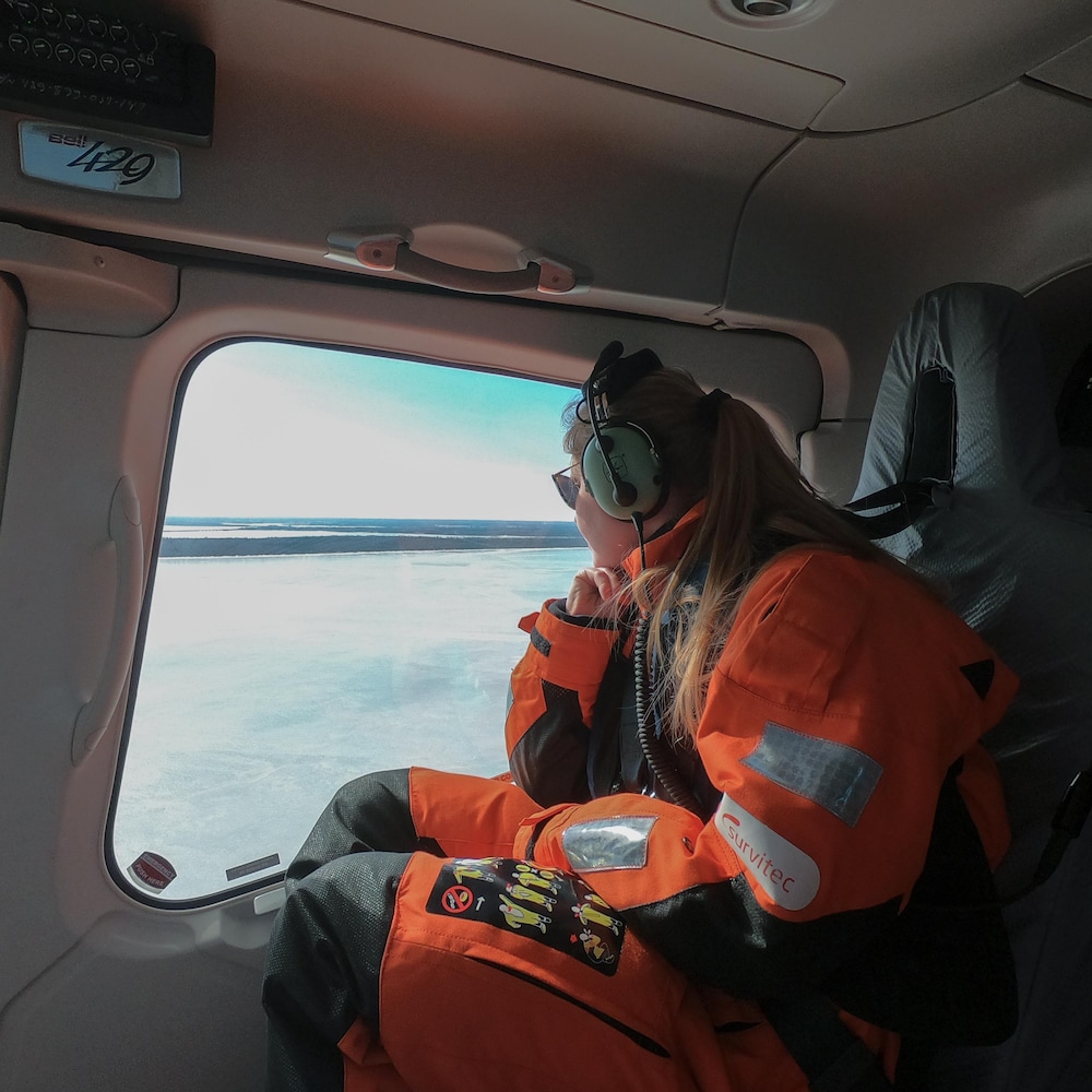 Une équipe de scientifiques survole le sud du golfe du Saint-Laurent à la recherche de blanchons. 